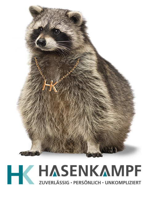 Waschbaer_klein